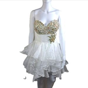 Cinderella Formal Dress Sz 14
